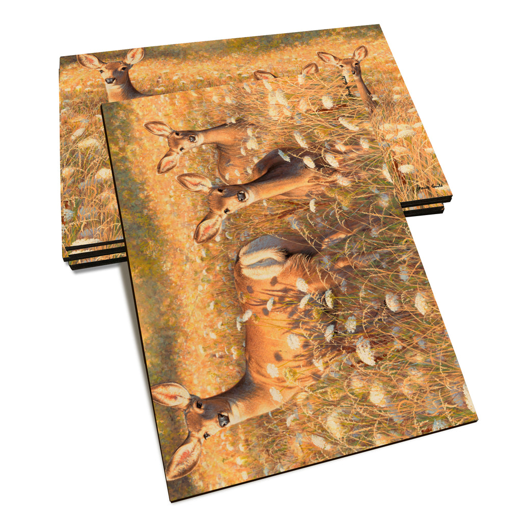 Gould's Light and Lace - Classic Edge Classic Edge Postcard (5pk // $2.80ea)