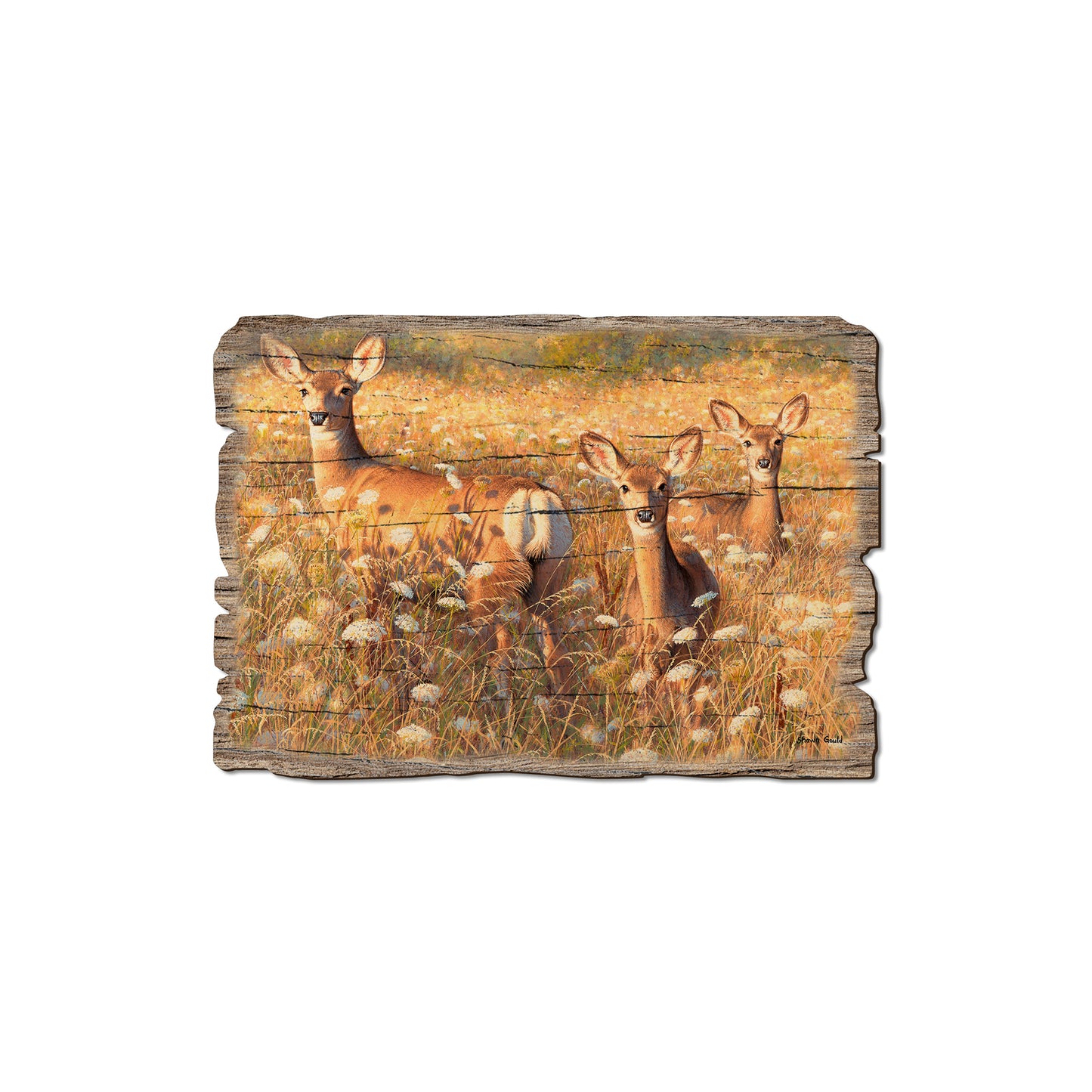 Gould's Light And Lace - Rustic Edge Postcards & Magnets Rustic Edge Magnet (5pk // $2.80ea)