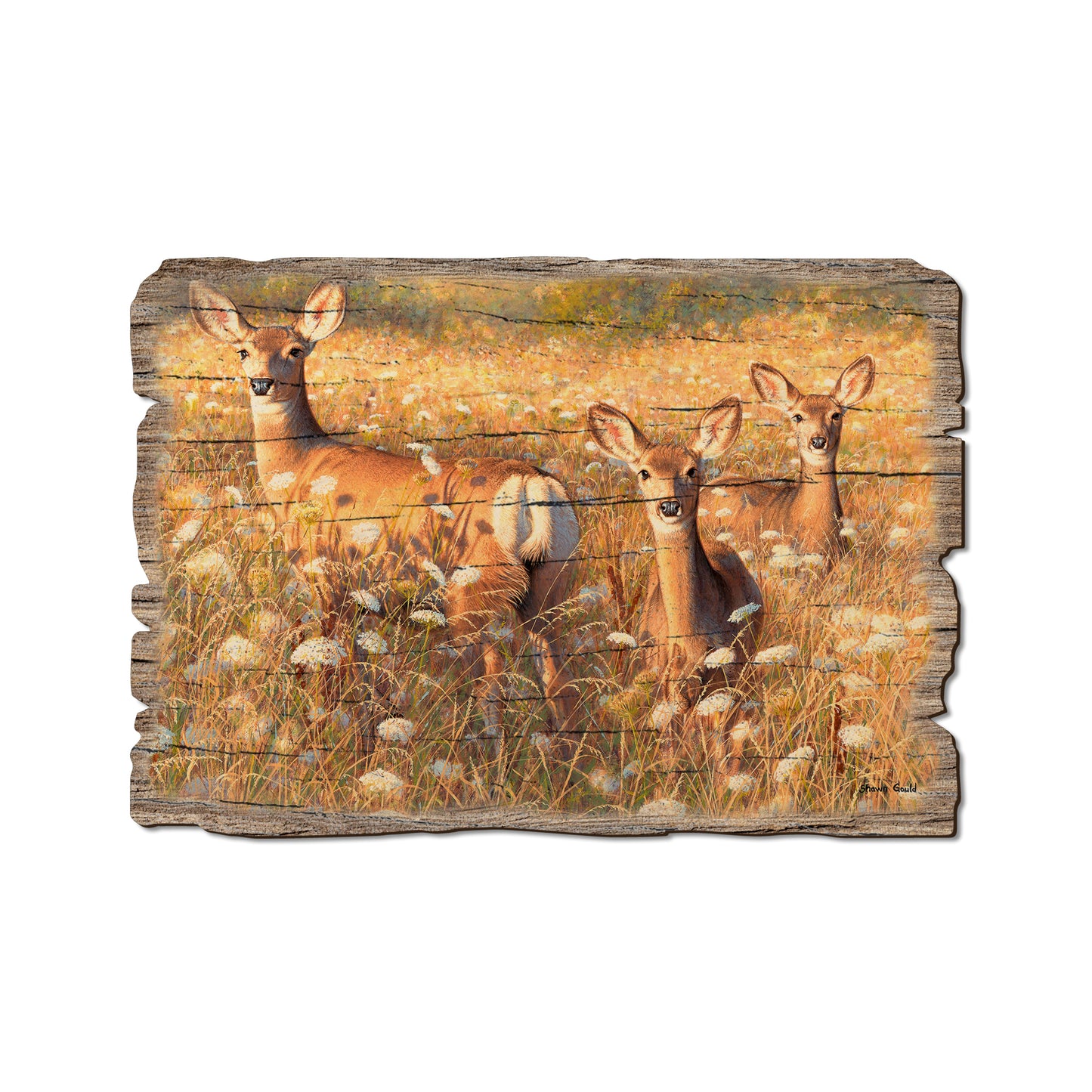 Gould's Light And Lace - Rustic Edge Postcards & Magnets Rustic Edge Postcard (5pk // $2.80ea)