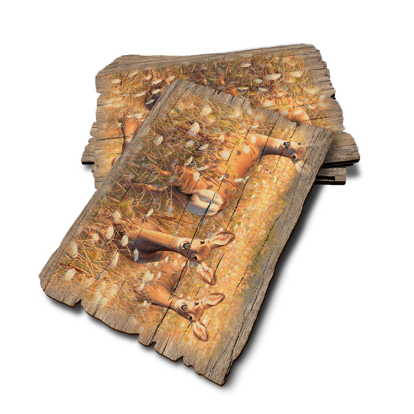 Gould's Light And Lace - Weathered Edge Rustic Edge Postcard (5pk // $2.80ea)