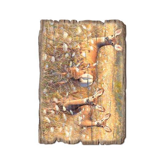 Greeting Card: Weathered Edge - Gould's Light and Lace