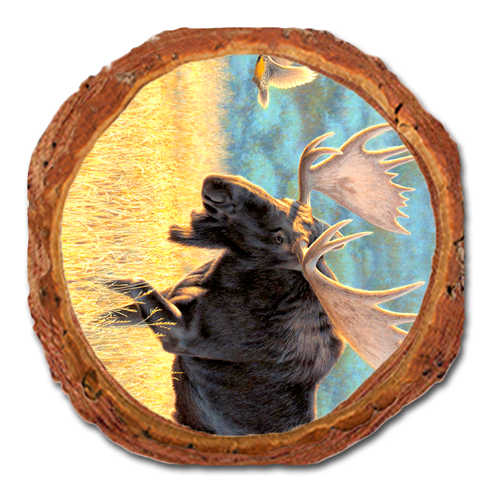 Coaster: Live Edge - Gould's Meadow Bull