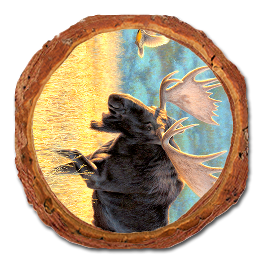 Coaster: Live Edge - Gould's Meadow Bull