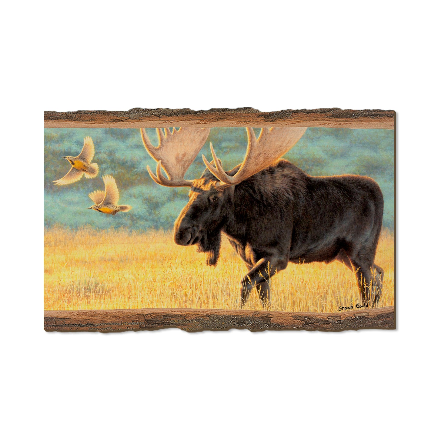 Gould's Meadow Bull - Live Edge Live Edge Magnet (5pk // $2.80ea)