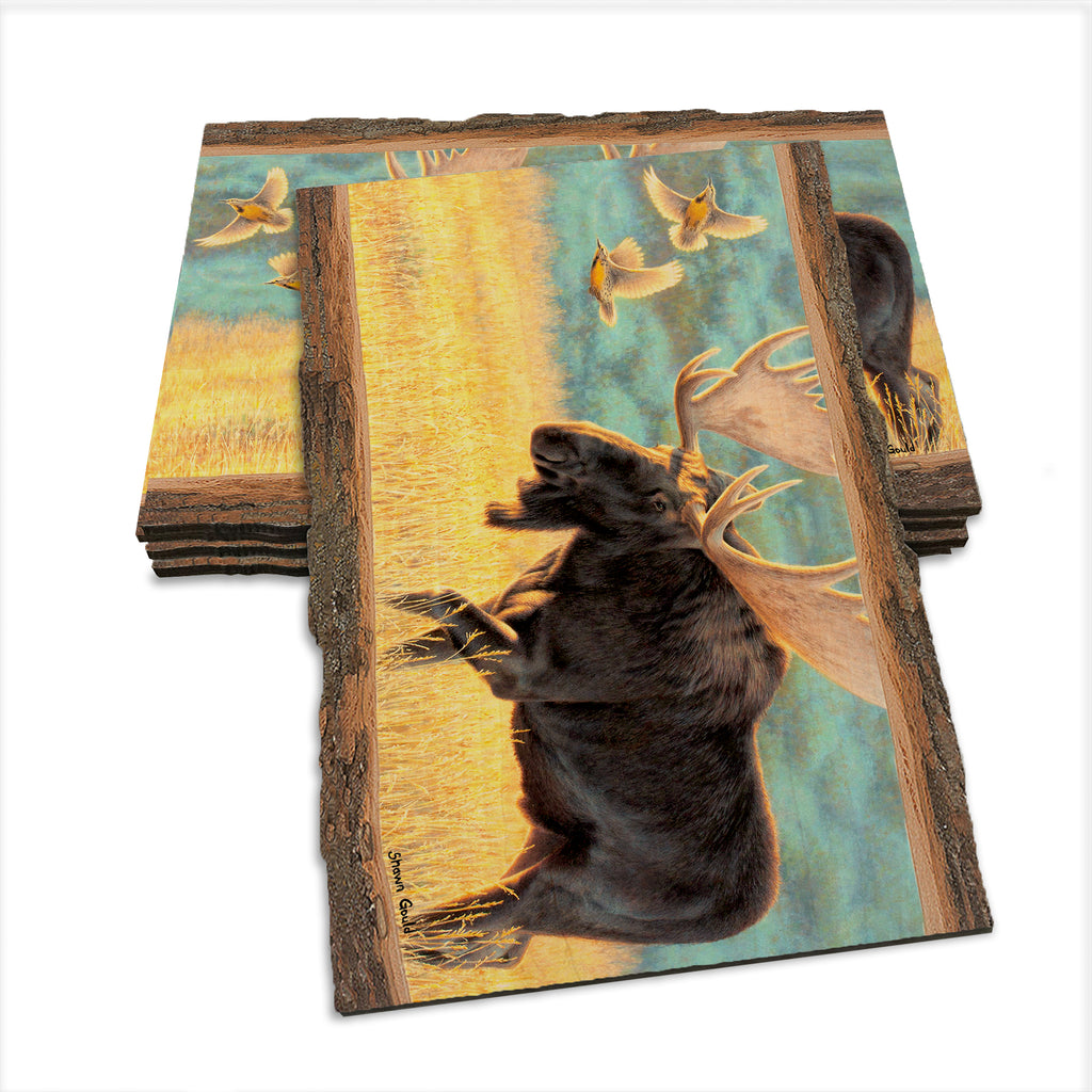 Gould's Meadow Bull - Live Edge Live Edge Postcard (5pk // $2.80ea)