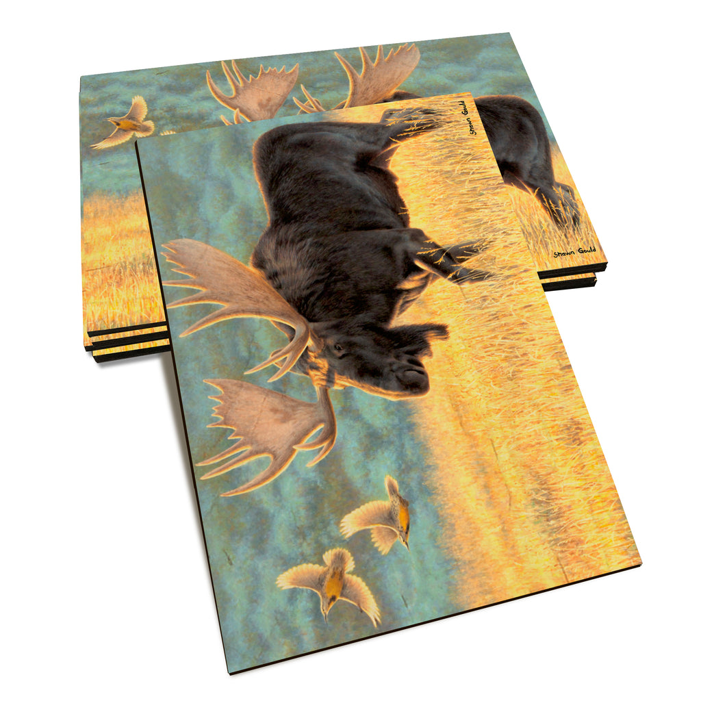 Gould's Meadow Bull - Classic Edge Classic Edge Postcard (5pk // $2.80ea)