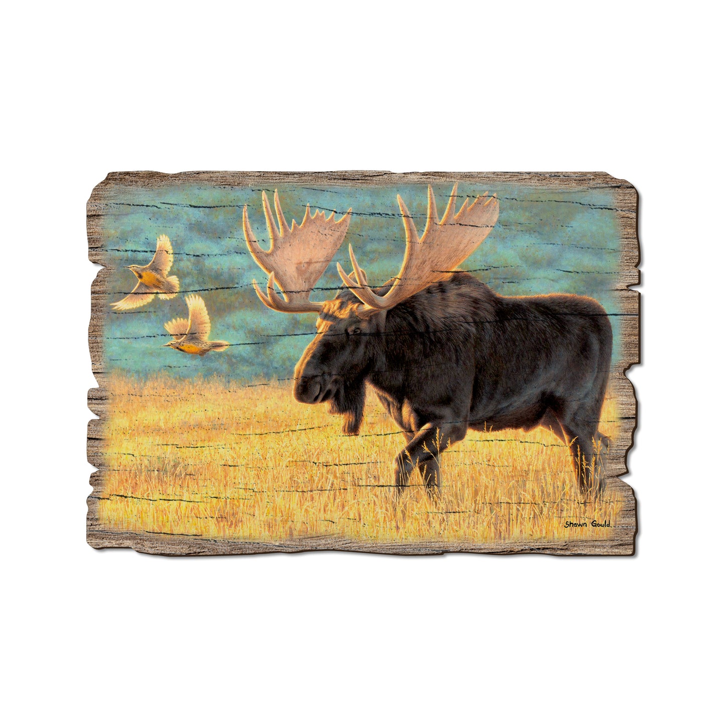 Gould's Meadow Bull - Rustic Edge Postcards & Magnets Rustic Edge Postcard (5pk // $2.80ea)