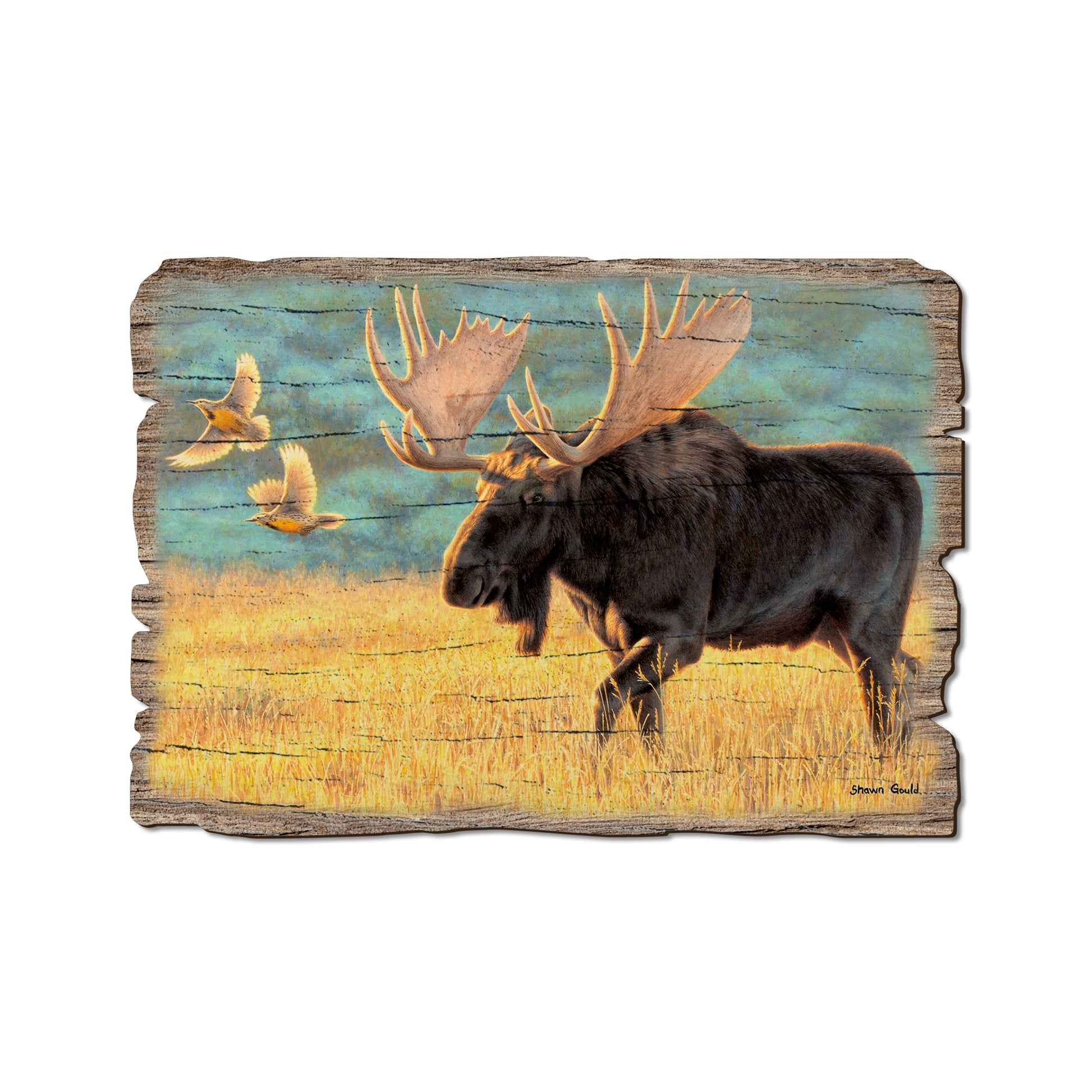 Gould's Meadow Bull - Rustic Edge Postcards & Magnets Rustic Edge Postcard (5pk // $2.80ea)