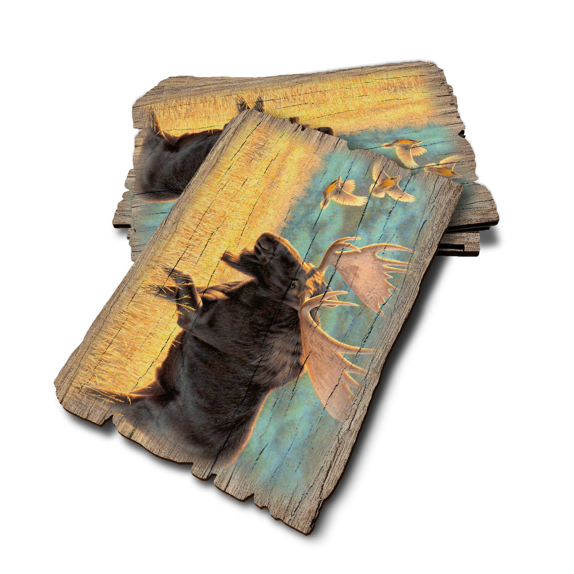 Gould's Meadow Bull - Weathered Edge Rustic Edge Postcard (5pk // $2.80ea)