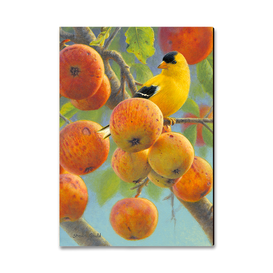 Greeting Card: Classic Edge - Gould's Orchard Gold
