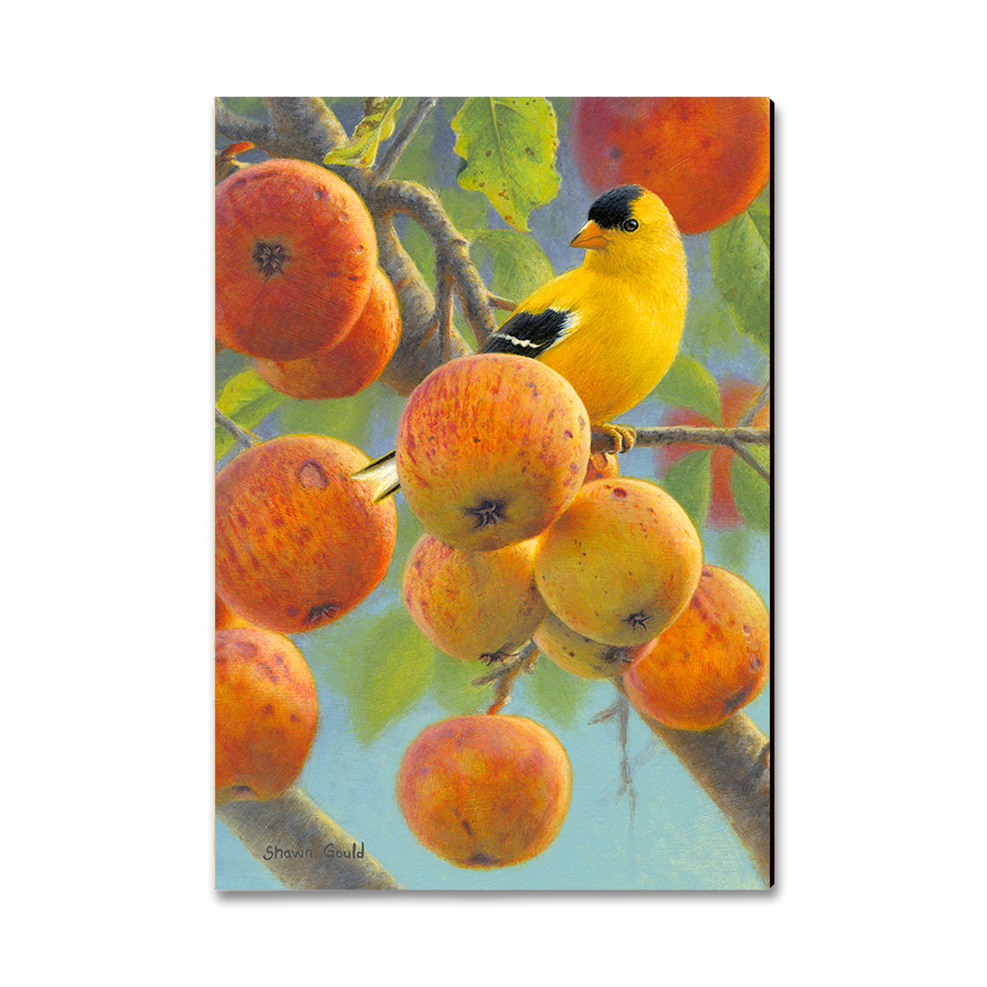Postcard: Classic Edge - Gould's Orchard Gold
