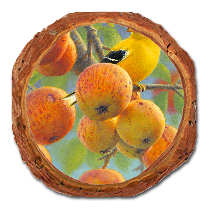 Coaster: Live Edge - Gould's Orchard Gold