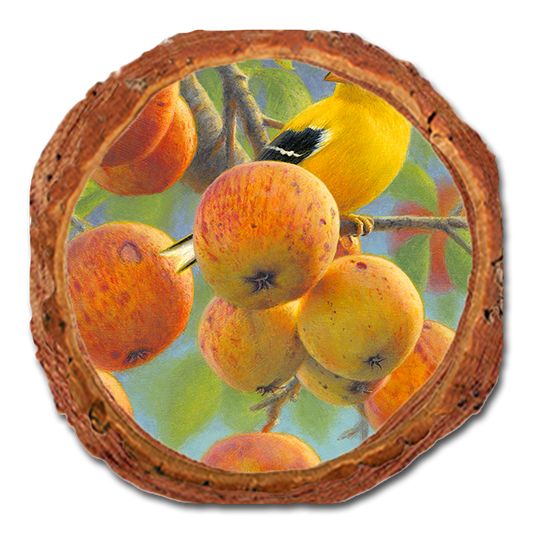 Coaster: Live Edge - Gould's Orchard Gold