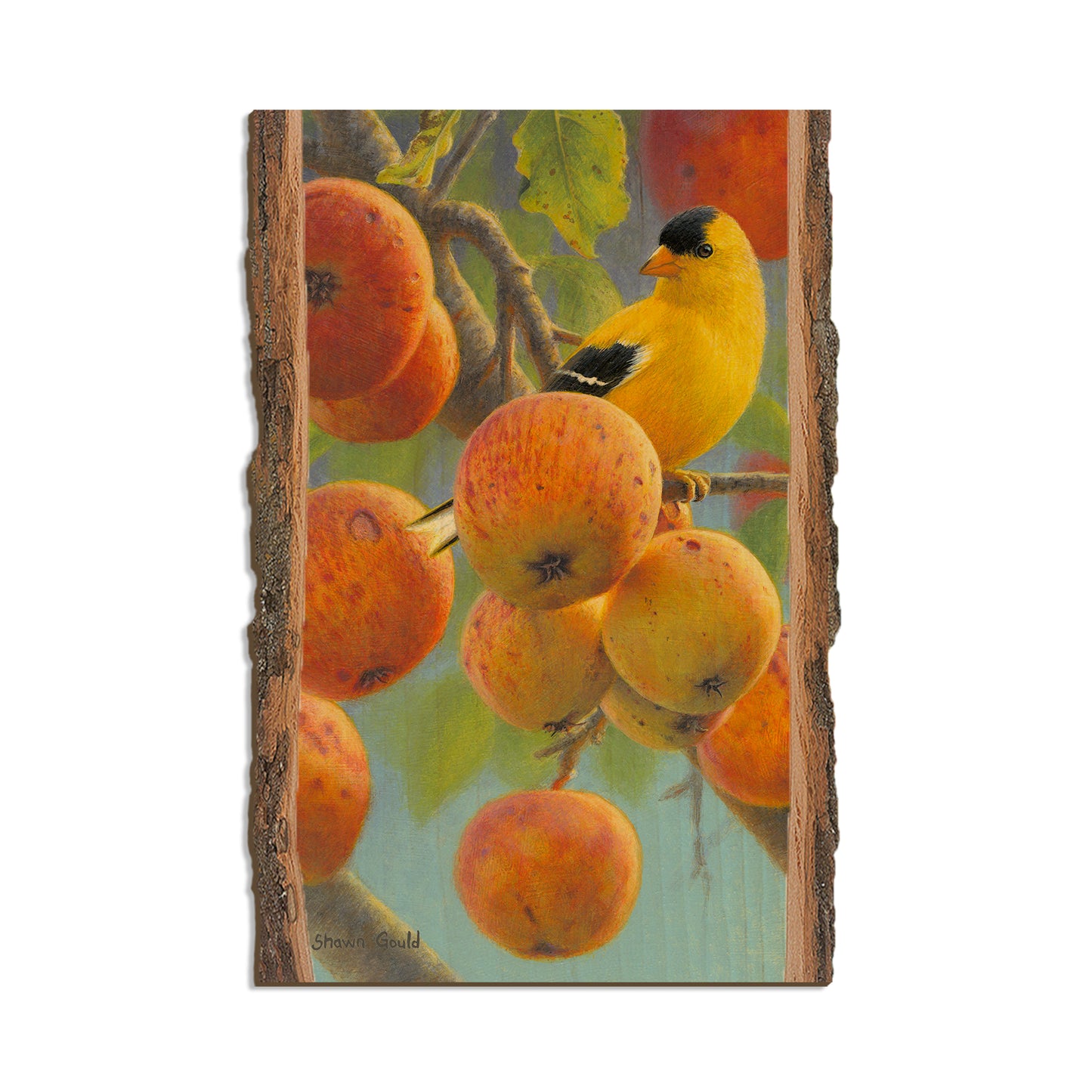 Gould's Orchard Gold - Live Edge Live Edge Postcard (5pk // $2.80ea)