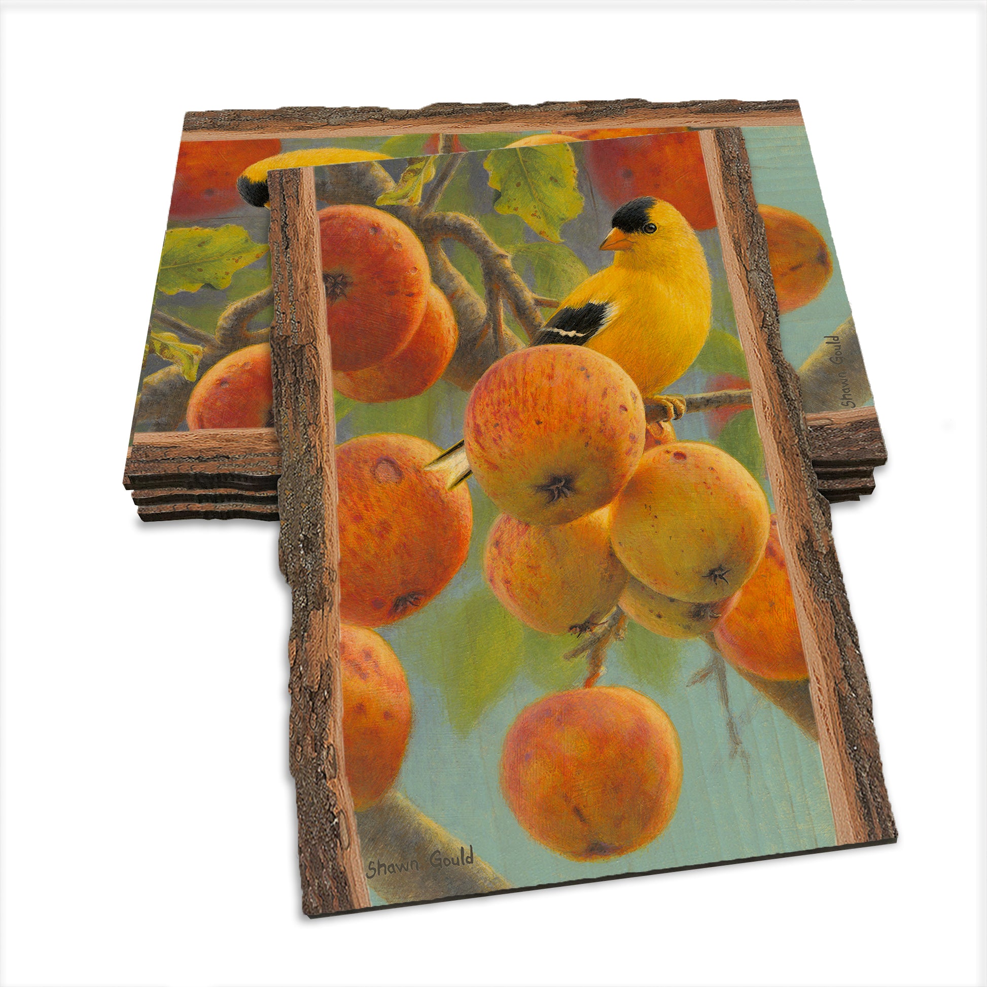Gould's Orchard Gold - Live Edge Live Edge Postcard (5pk // $2.80ea)