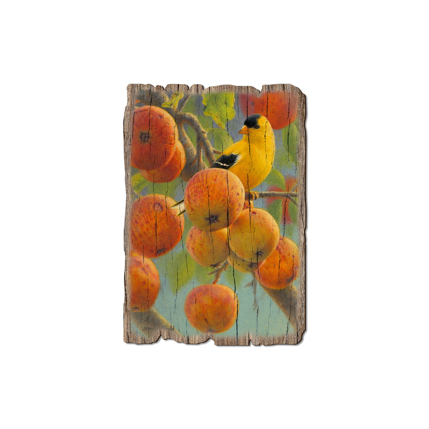 Gould's Orchard Gold - Rustic Edge Postcards & Magnets Rustic Edge Magnet (5pk // $2.80ea)
