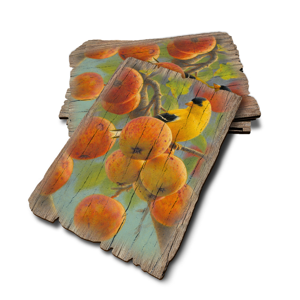 Gould's Orchard Gold - Weathered Edge Rustic Edge Postcard (5pk // $2.80ea)