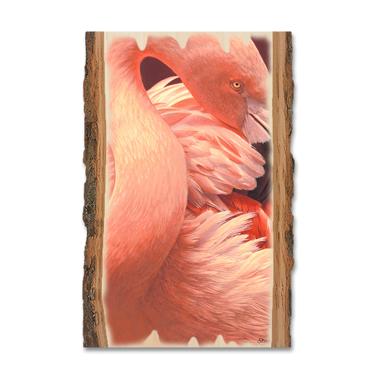 Magnet: Live Edge - Gould's Preeing Flamingo