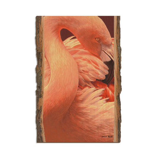 Gould's Preeing Flamingo - Live Edge Live Edge Postcard (5pk // $2.80ea)