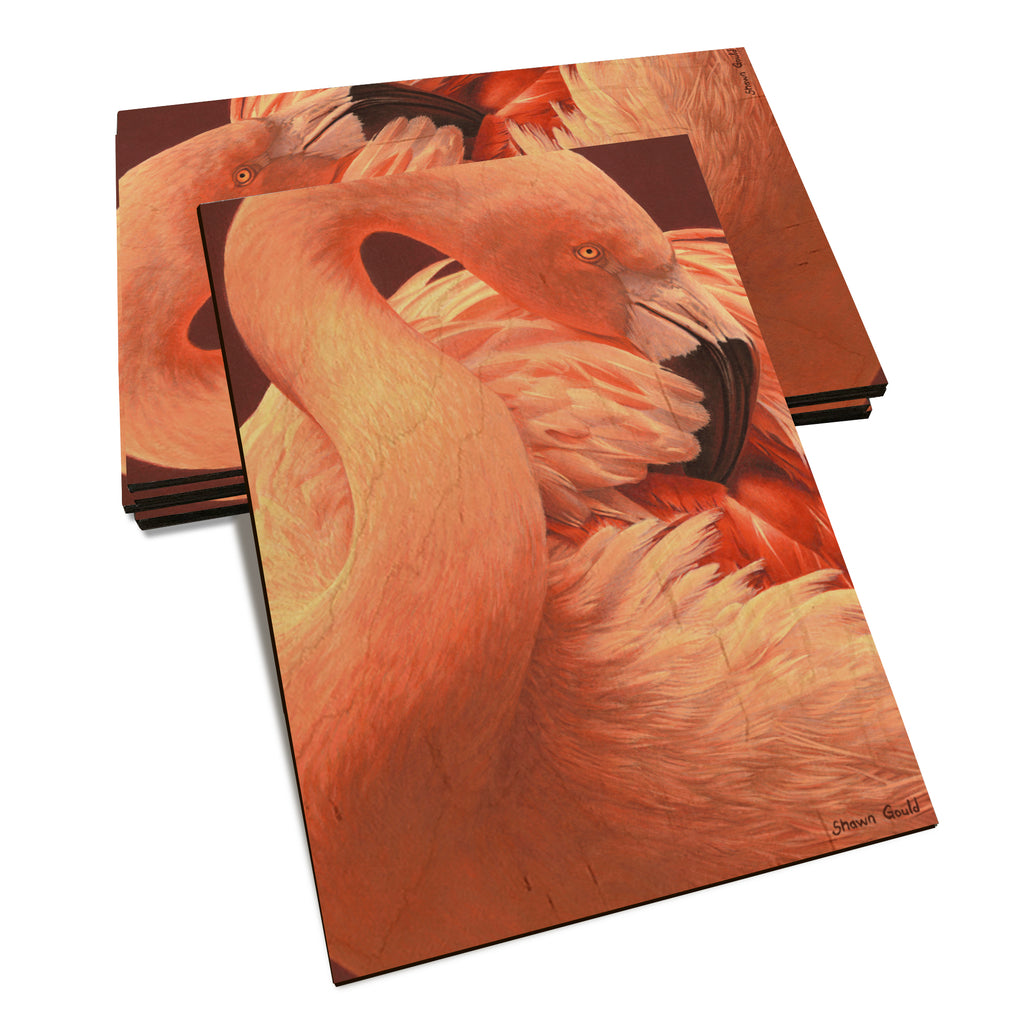 Gould's Preeing Flamingo - Classic Edge Classic Edge Postcard (5pk // $2.80ea)