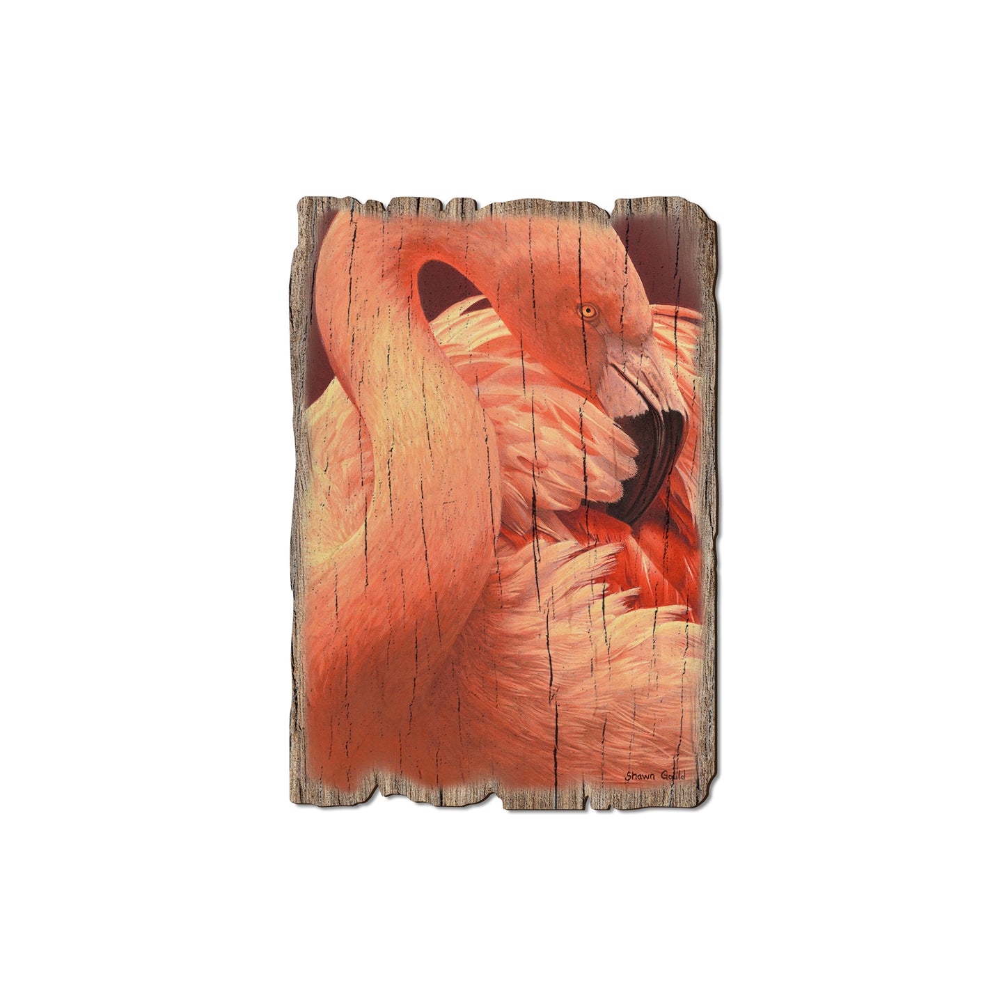 Gould's Preening Flamingo - Rustic Edge Postcards & Magnets Rustic Edge Magnet (5pk // $2.80ea)