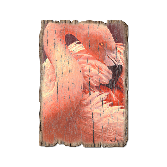 Greeting Card: Weathered Edge - Gould's Preeing Flamingo
