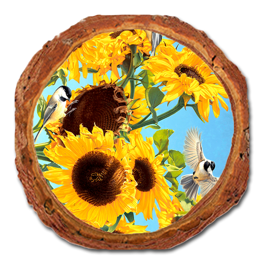 Coaster: Live Edge - Gould's Sun Chicks