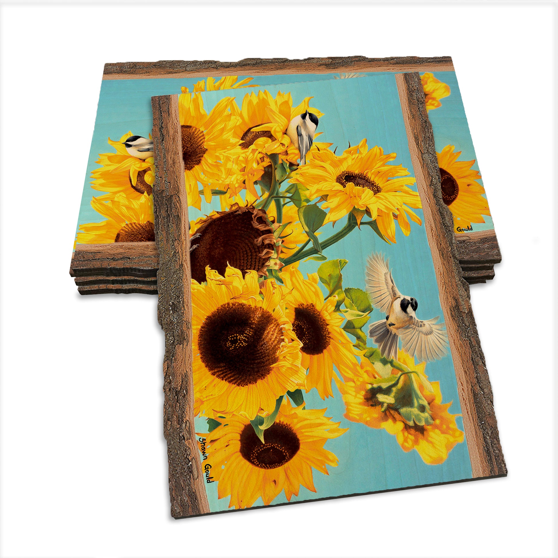 Gould's Sun Chicks - Live Edge Live Edge Postcard (5pk // $2.80ea)