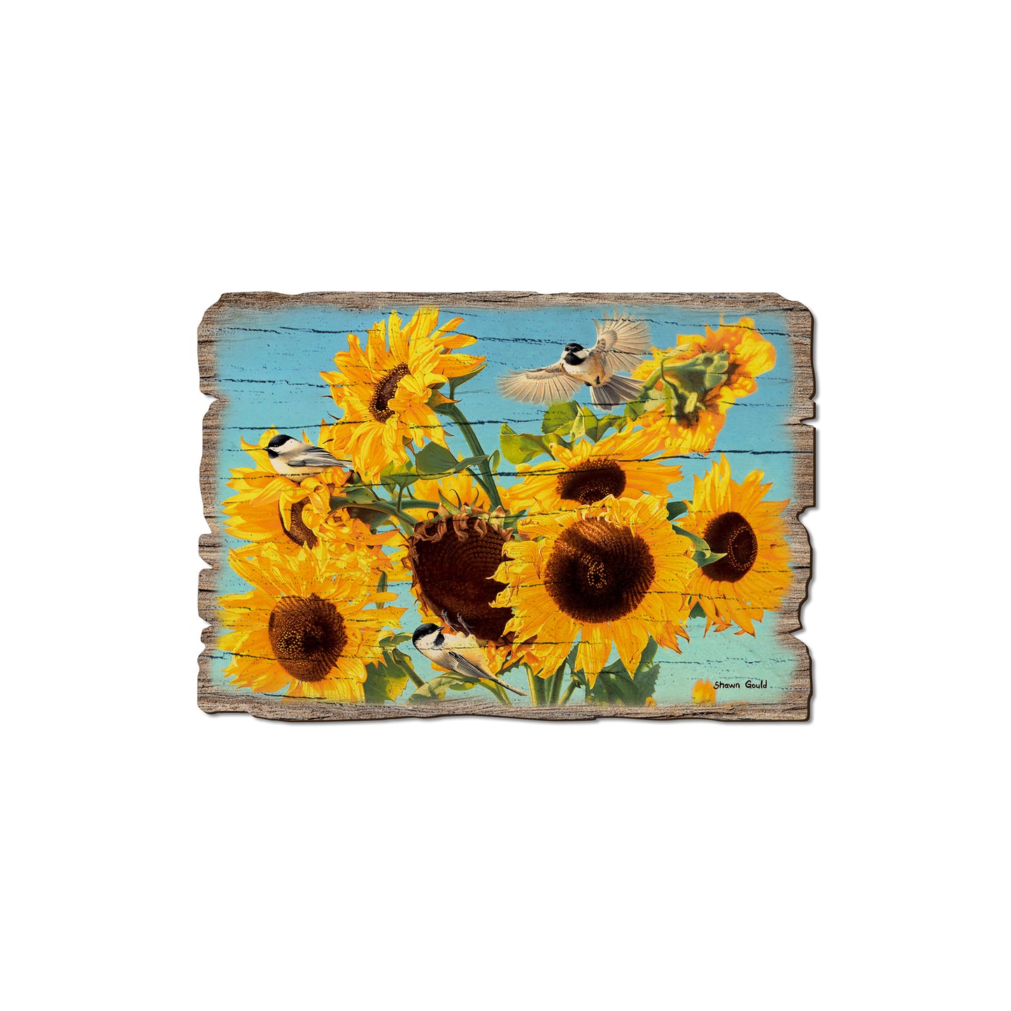 Gould's Sun Chicks - Rustic Edge Postcards & Magnets Rustic Edge Magnet (5pk // $2.80ea)