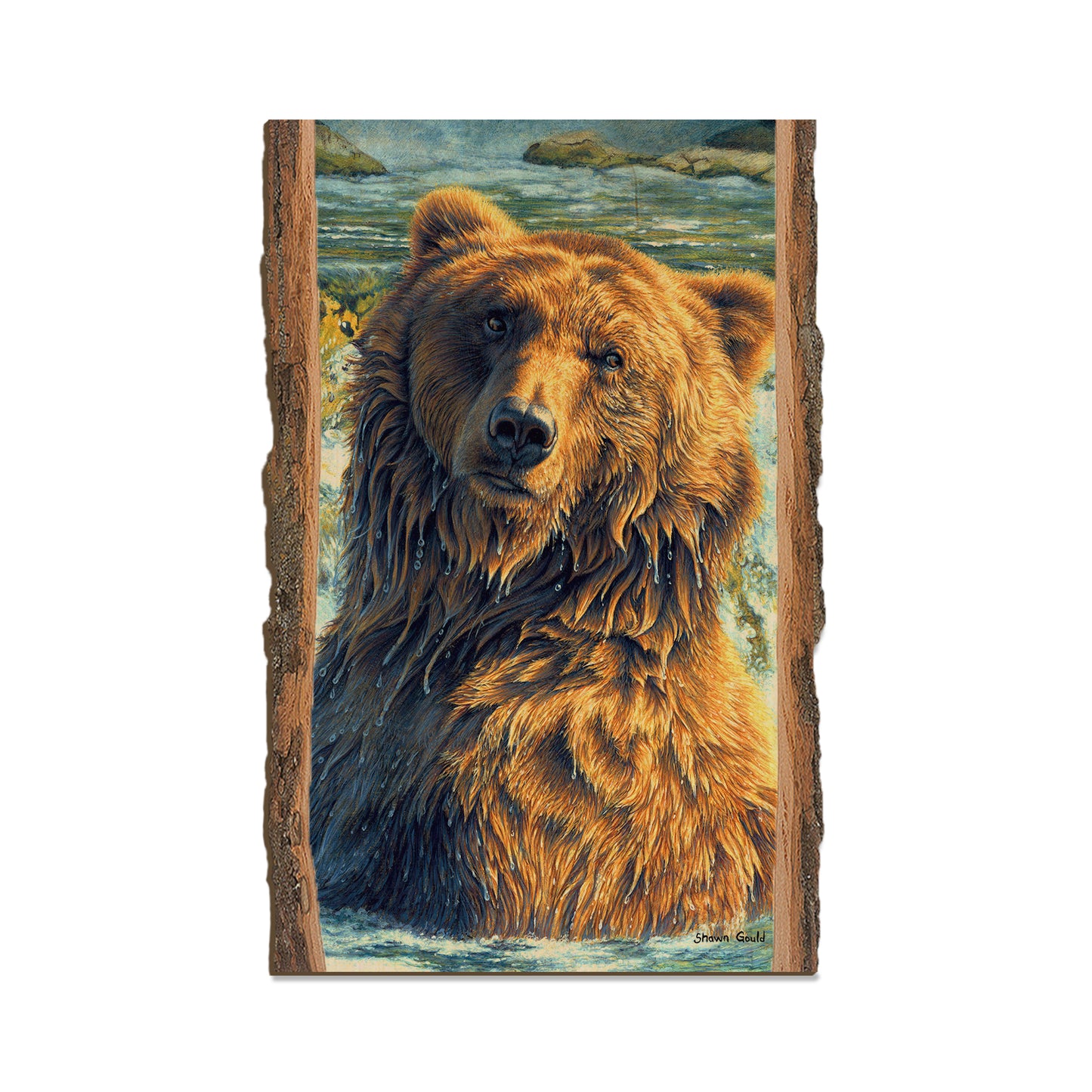 Gould's Shangri-La - Live Edge Live Edge Magnet (5pk // $2.80ea)