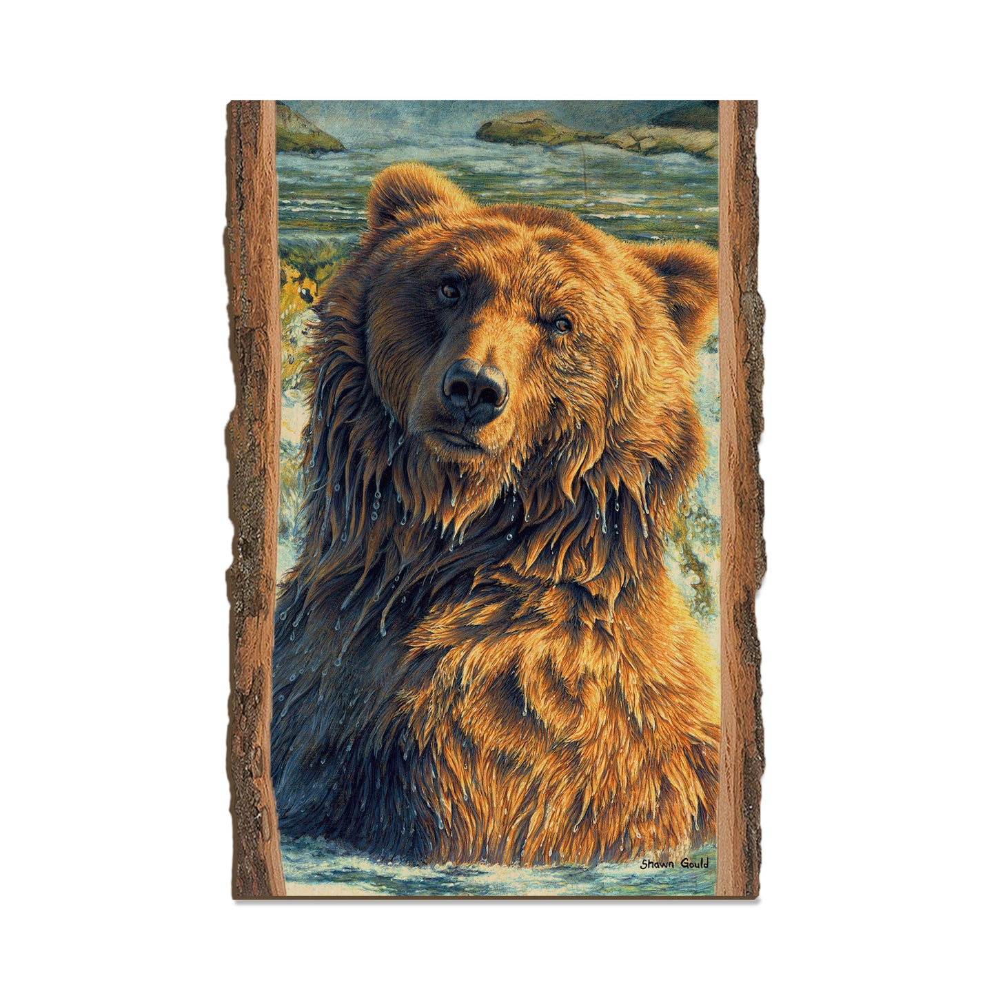 Gould's Shangri-La - Live Edge Live Edge Postcard (5pk // $2.80ea)
