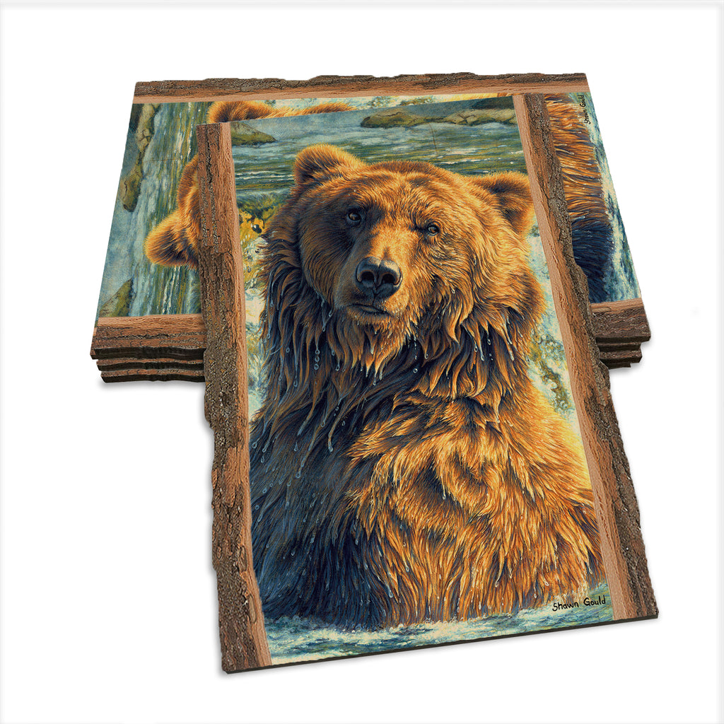 Gould's Shangri-La - Live Edge Live Edge Postcard (5pk // $2.80ea)