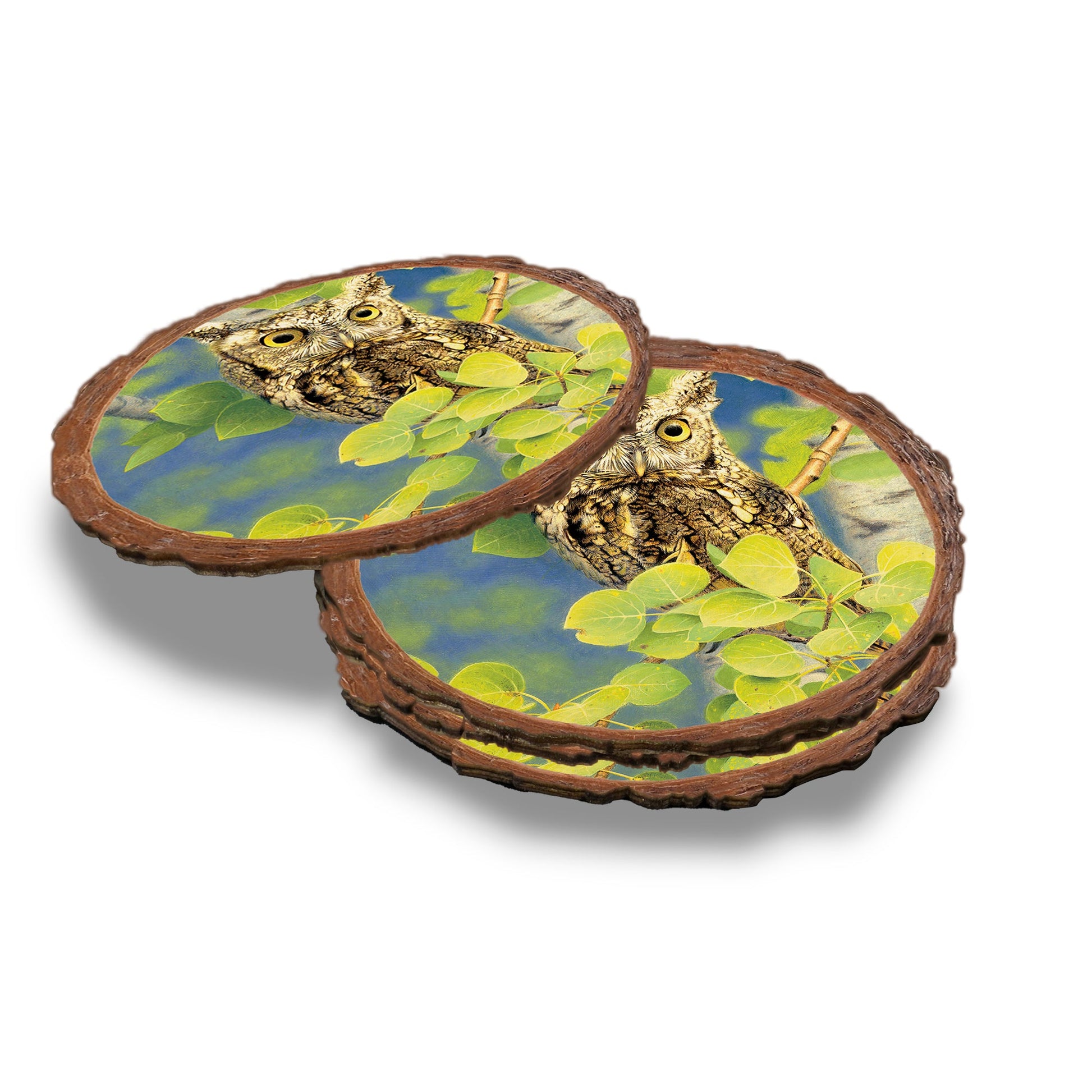 Gould's Summer Screech - Live Edge Live Edge Coaster (5pk // $2.80ea)