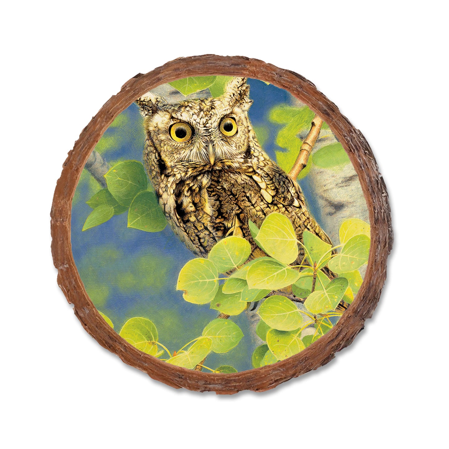 Gould's Summer Screech - Live Edge Live Edge Coaster (5pk // $2.80ea)