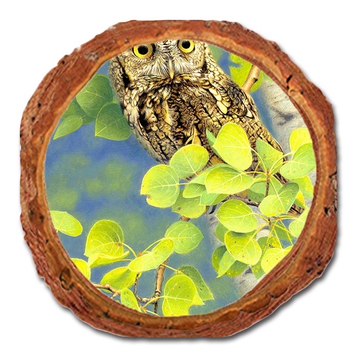 Coaster: Live Edge - Gould's Summer Screech