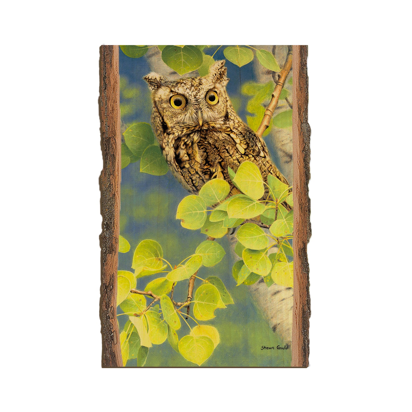 Gould's Summer Screech - Live Edge Live Edge Magnet (5pk // $2.80ea)