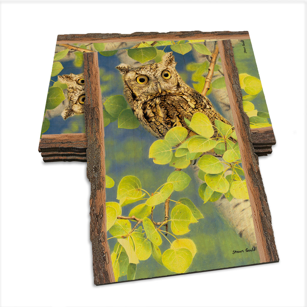 Gould's Summer Screech - Live Edge Live Edge Postcard (5pk // $2.80ea)