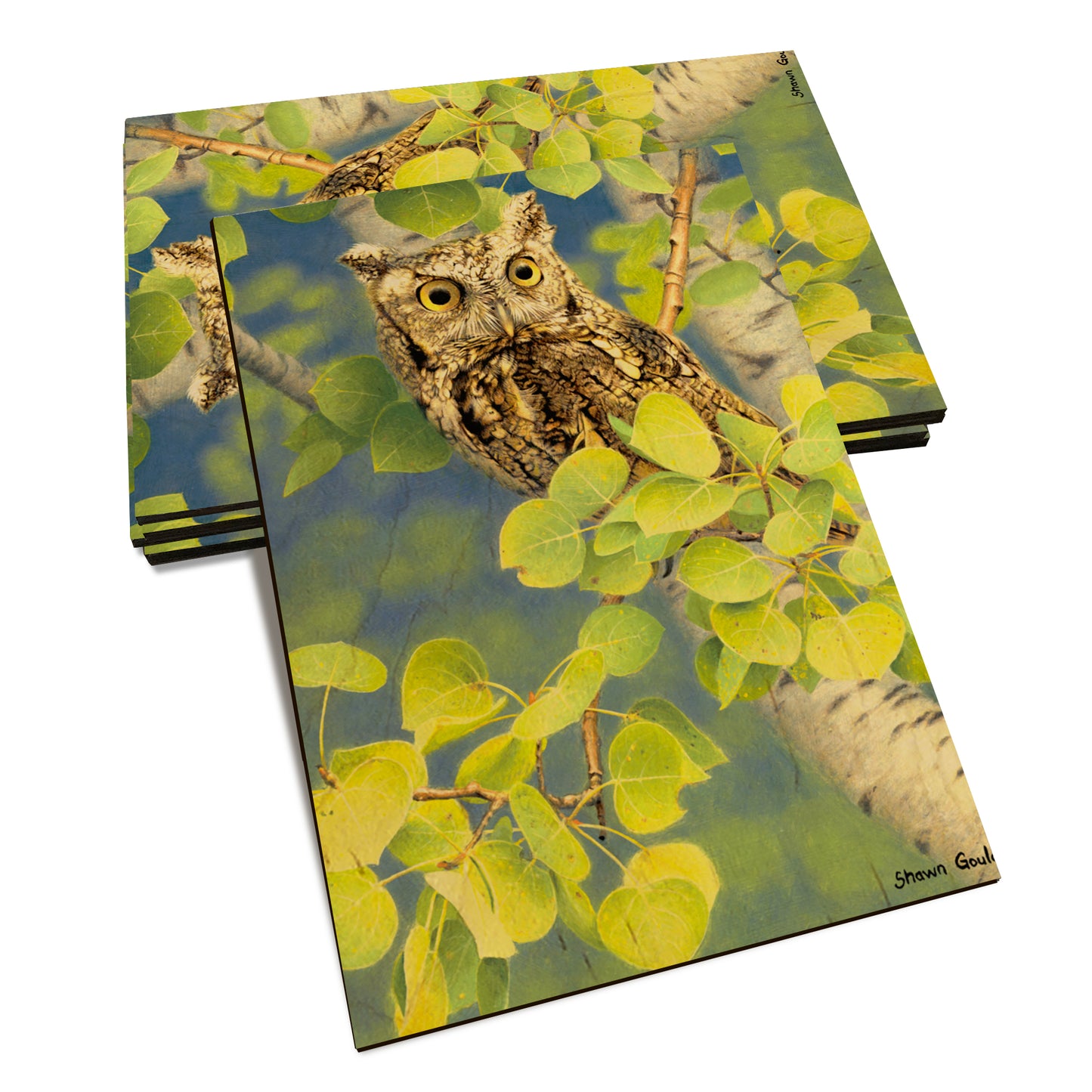 Gould's Summer Screech - Classic Edge Classic Edge Postcard (5pk // $2.80ea)