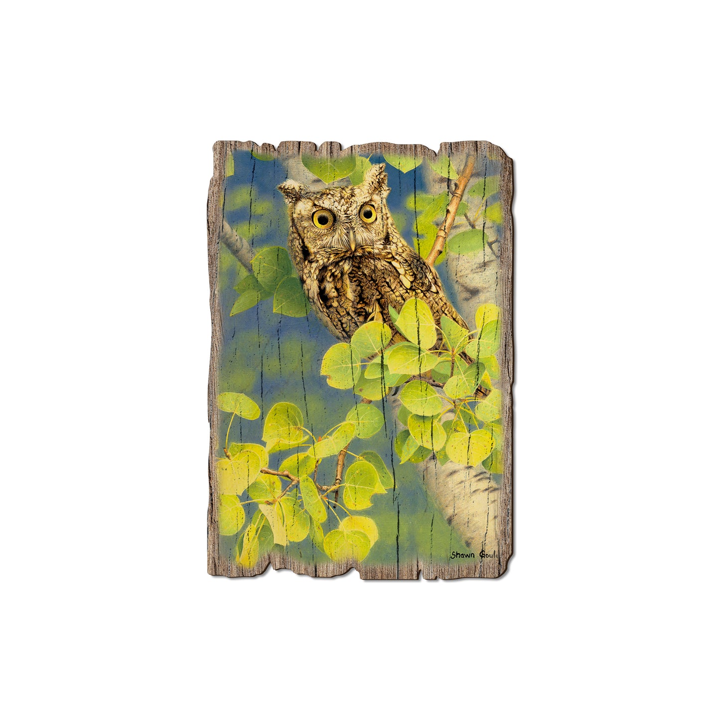 Gould's Summer Screech - Rustic Edge Postcards & Magnets Rustic Edge Magnet (5pk // $2.80ea)