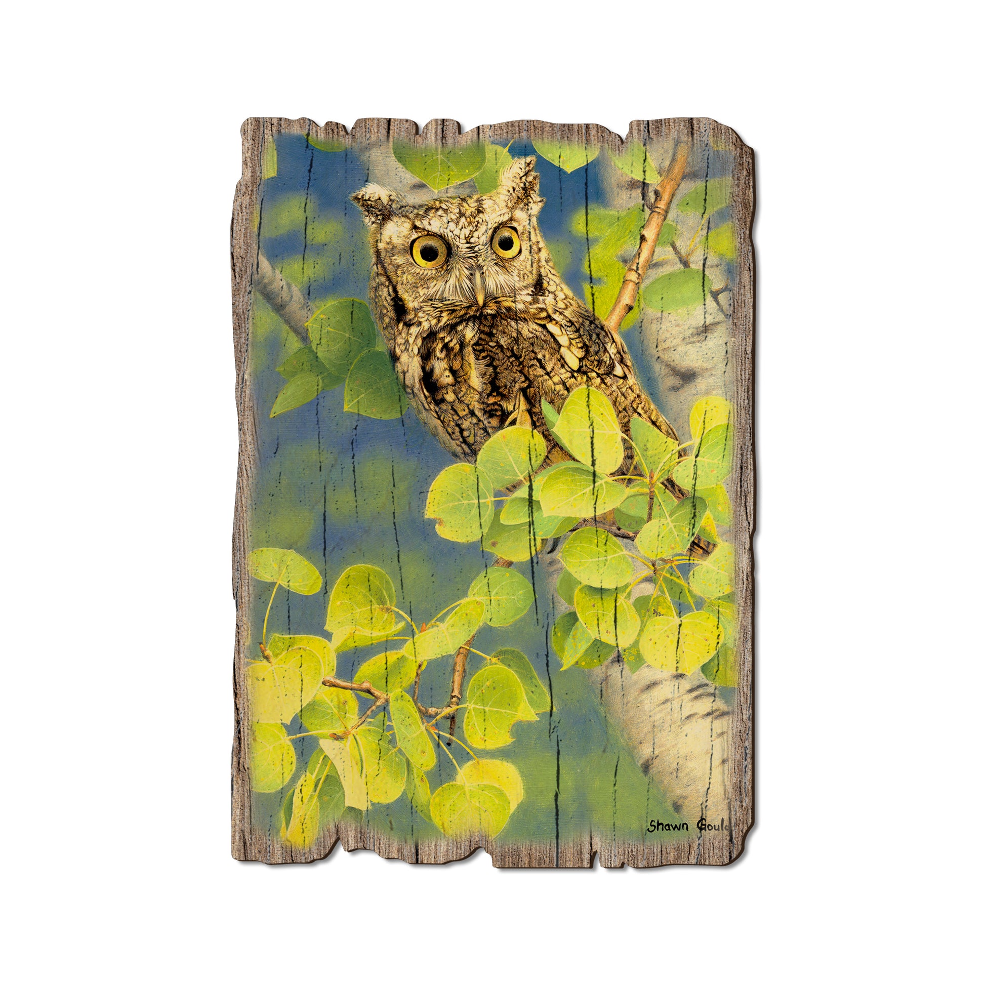 Gould's Summer Screech - Rustic Edge Postcards & Magnets Rustic Edge Postcard (5pk // $2.80ea)