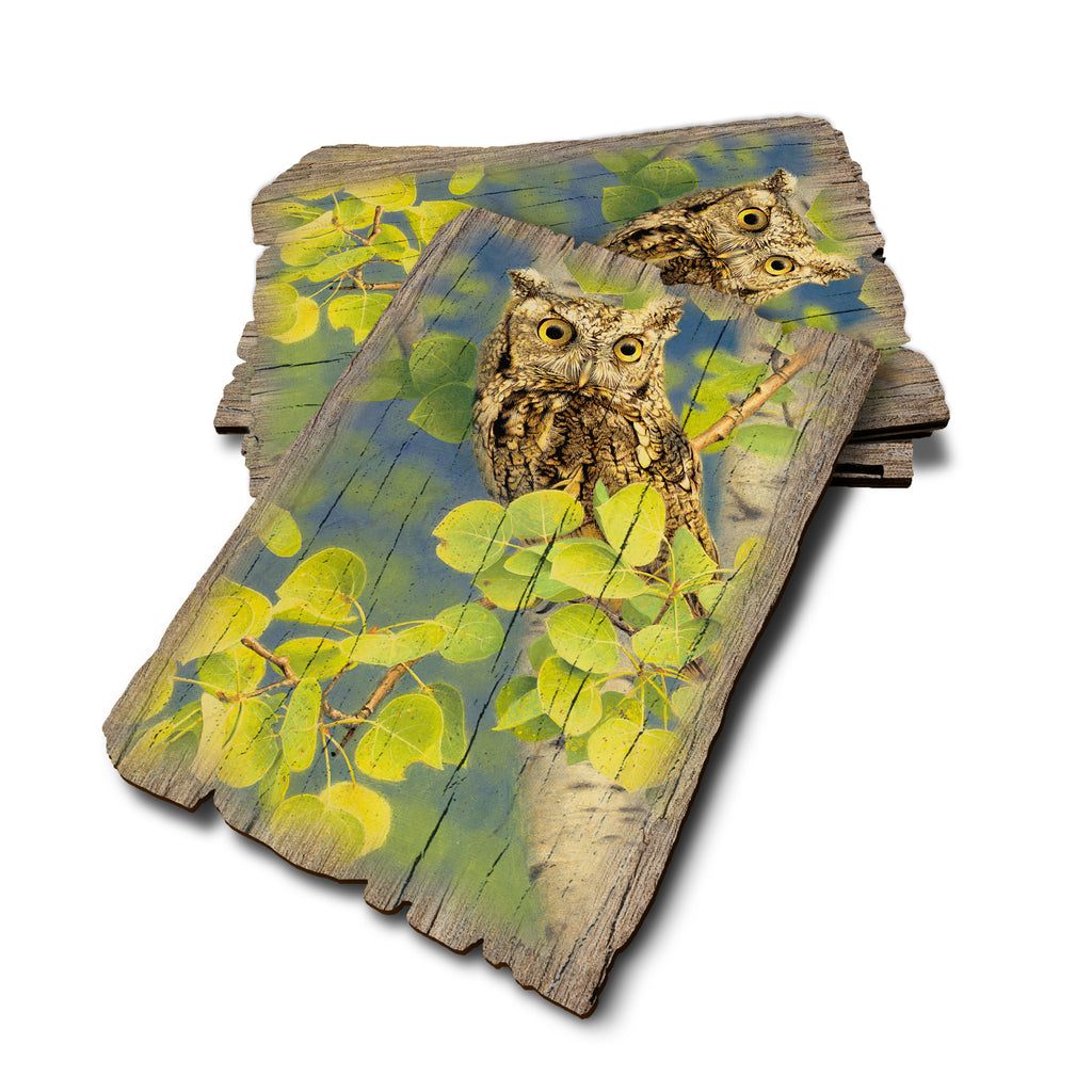 Gould's Summer Screech - Weathered Edge Rustic Edge Postcard (5pk // $2.80ea)