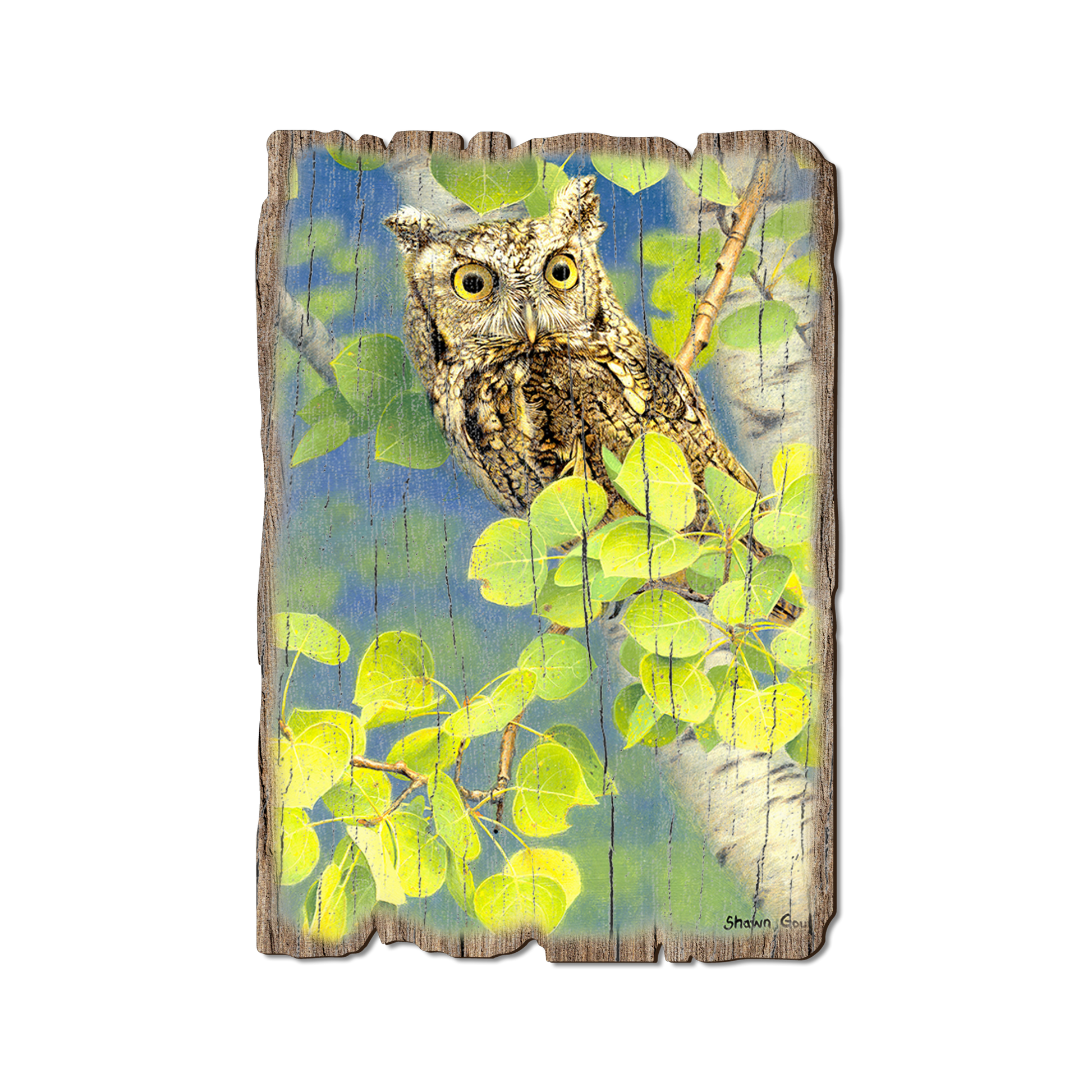 Greeting Card: Weathered Edge - Gould's Summer Screech