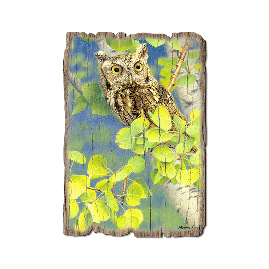 Greeting Card: Weathered Edge - Gould's Summer Screech