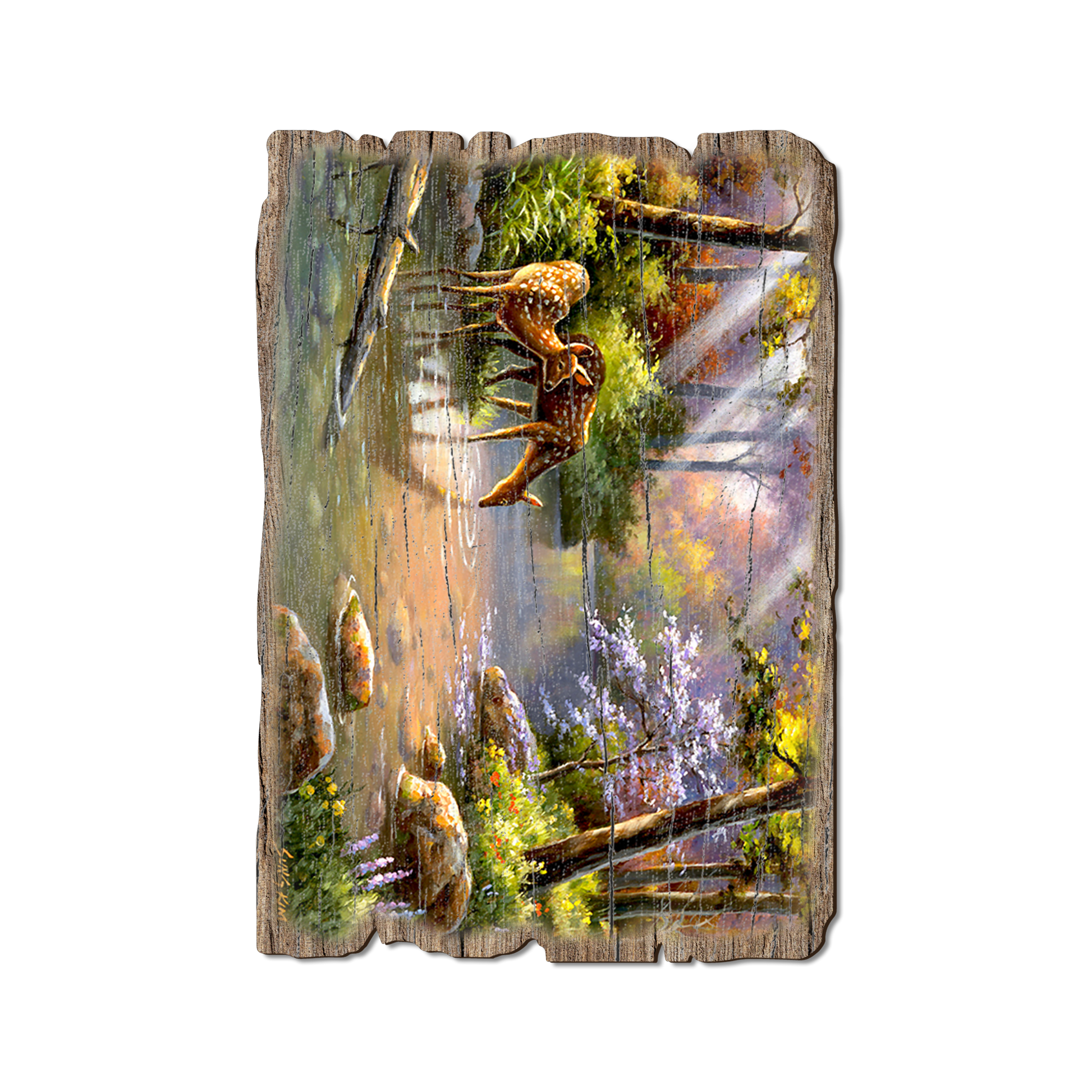 Postcard: Weathered Edge - Kim's Deer In Stream