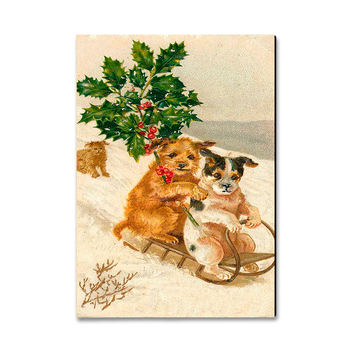 Magnet: Classic Edge - Sleigh Dogs
