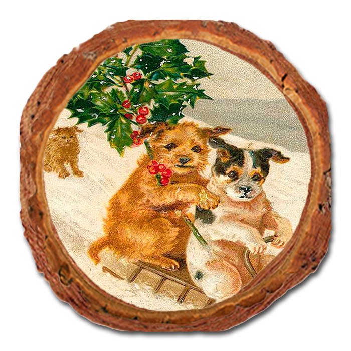 Coaster: Live Edge - Sleigh Dogs