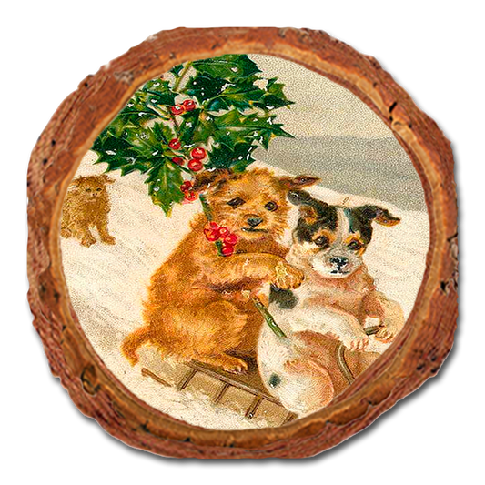 Coaster: Live Edge - Sleigh Dogs
