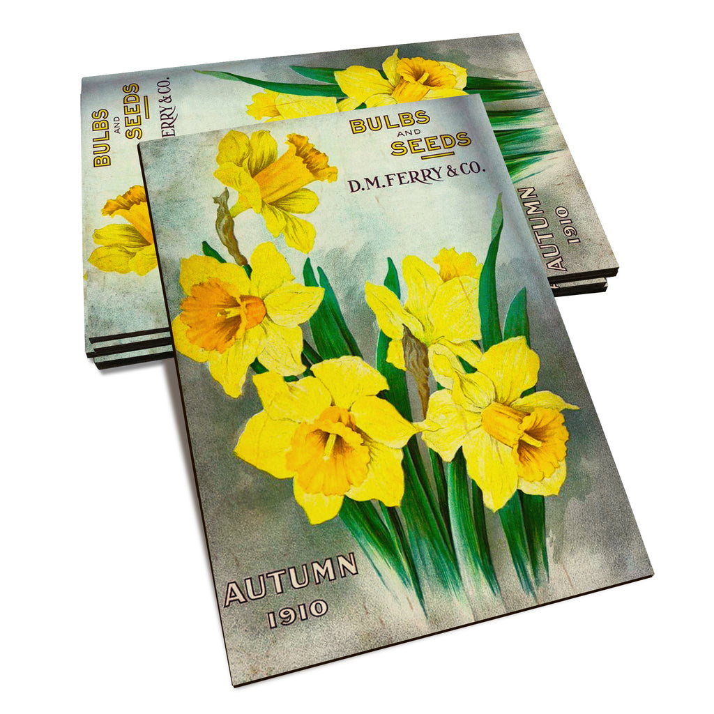 Bulbs and Seeds - Classic Edge Classic Edge Postcard (5pk // $2.80ea)