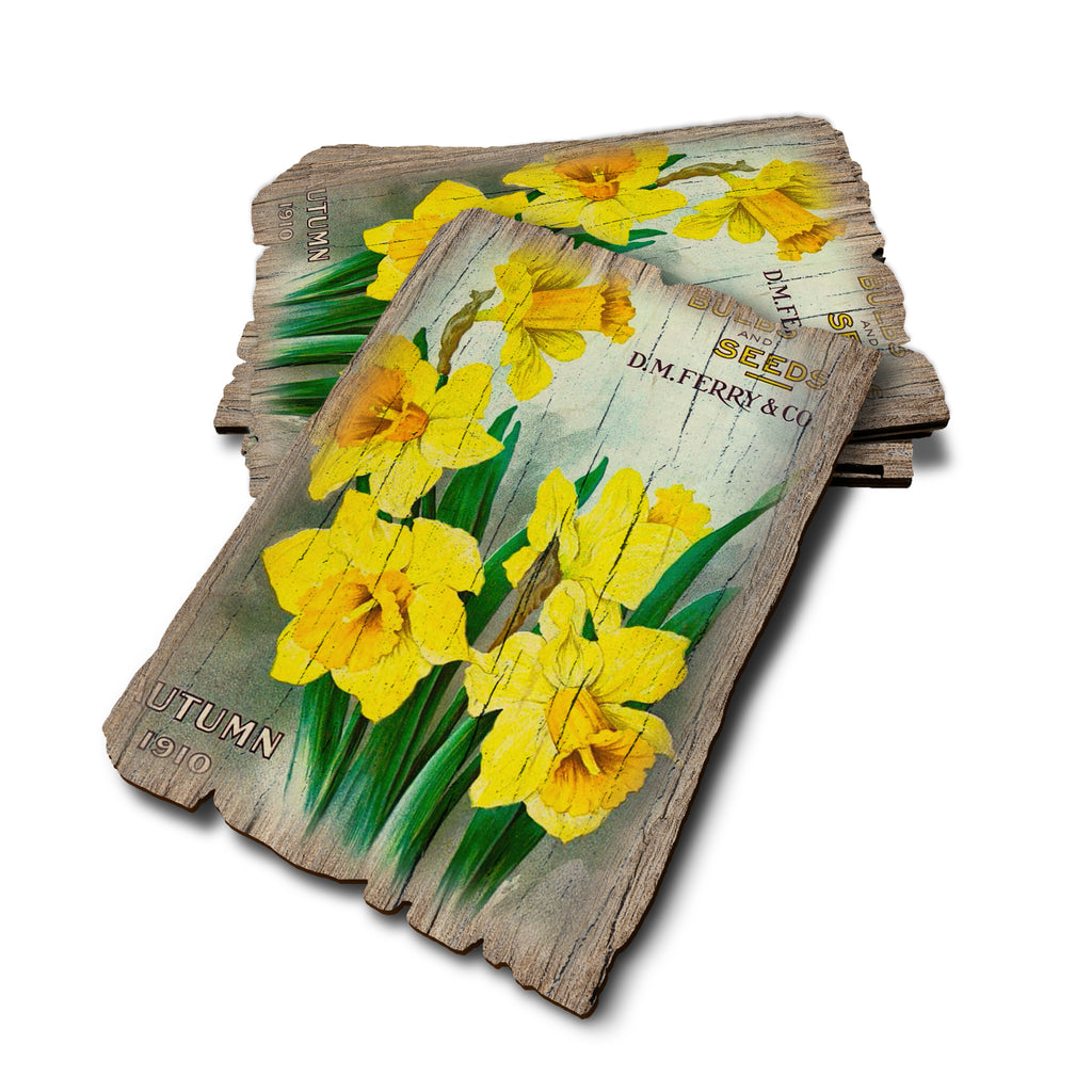 Bulbsand Seeds - Weathered Edge Rustic Edge Postcard (5pk // $2.80ea)
