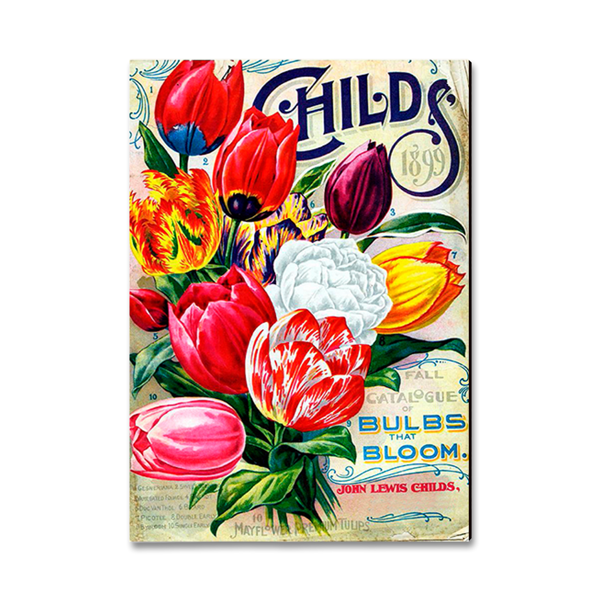 Greeting Card: Classic Edge - Child's Bulbs
